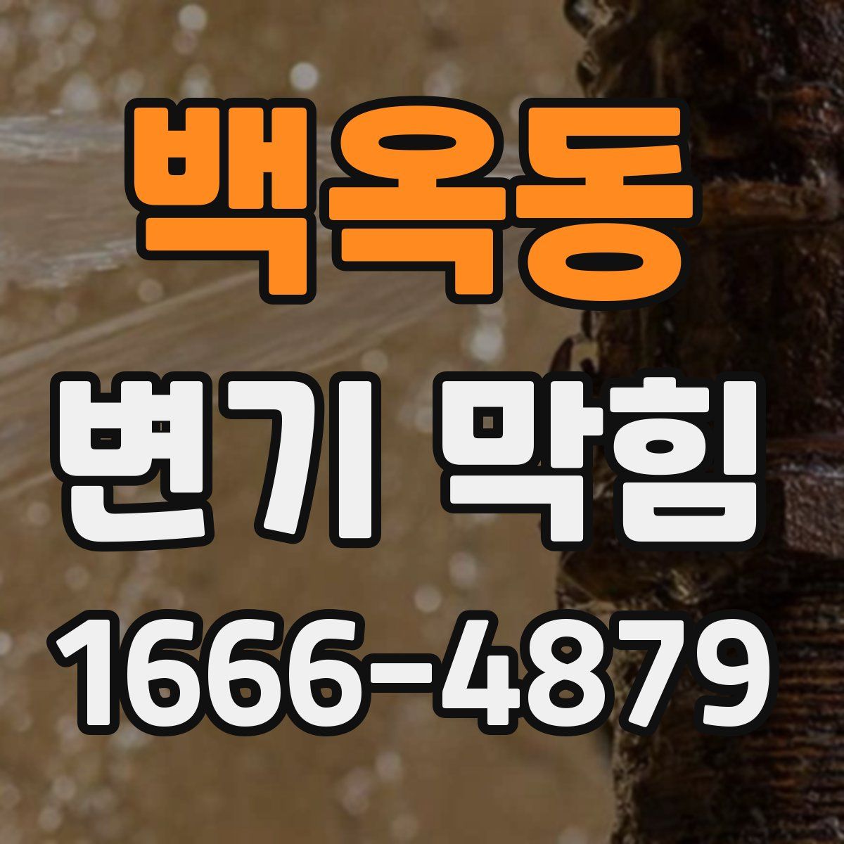 백옥동 변기 막힘