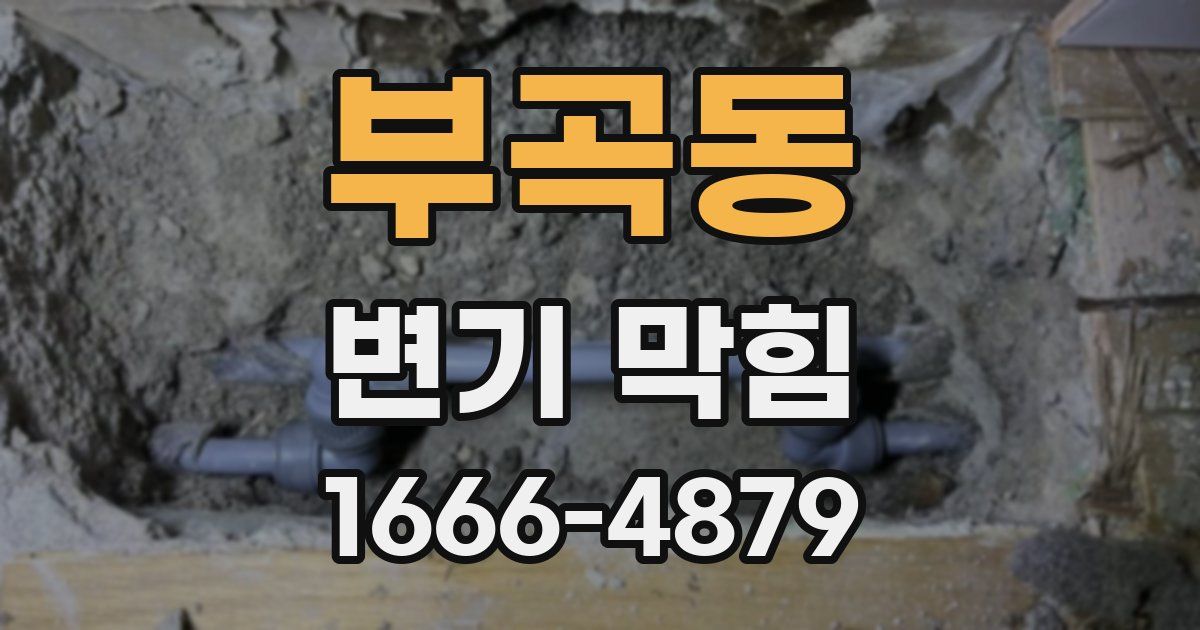 부곡동 변기 막힘