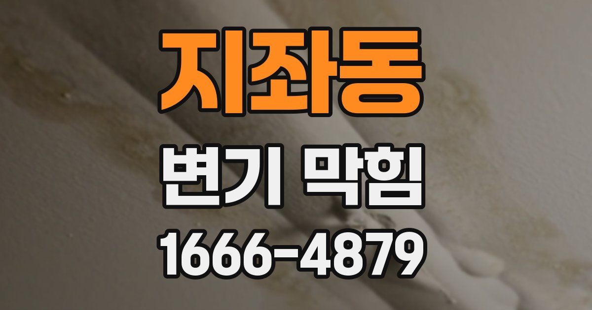 지좌동 변기 막힘