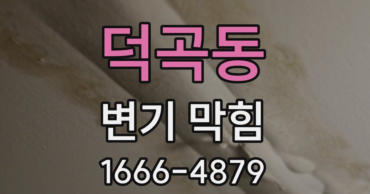 덕곡동 변기 막힘