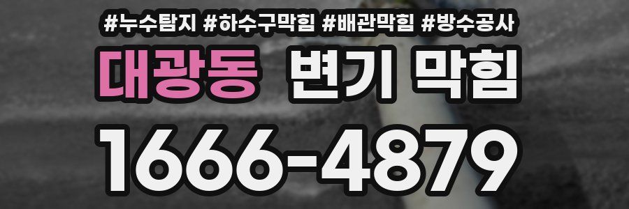 대광동 변기 막힘