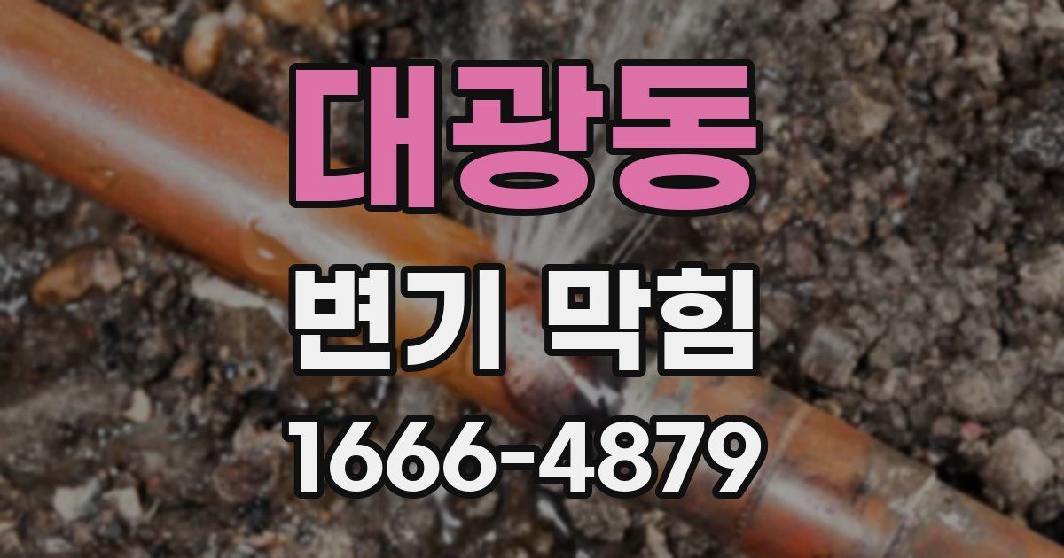 대광동 변기 막힘
