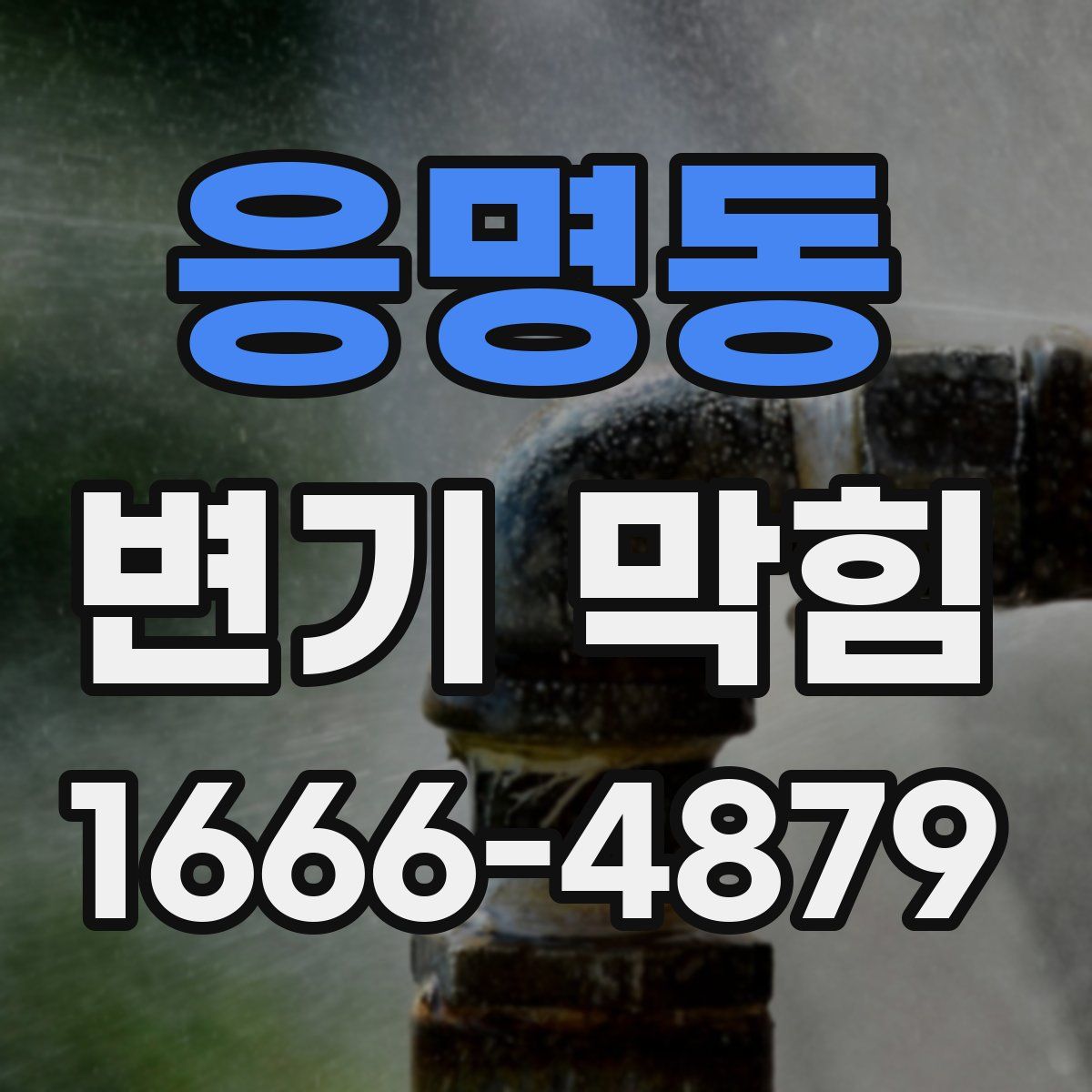 응명동 변기 막힘