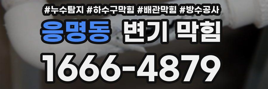 응명동 변기 막힘