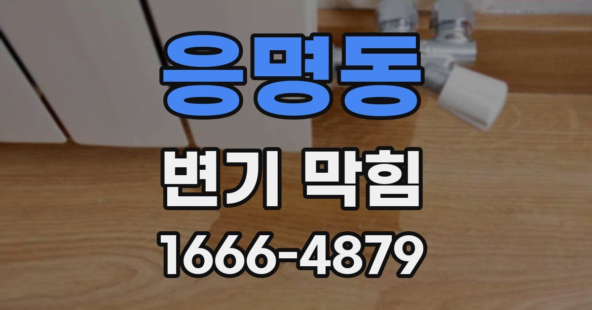 응명동 변기 막힘