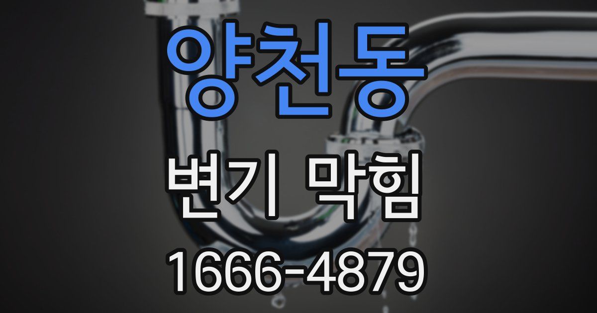 양천동 변기 막힘