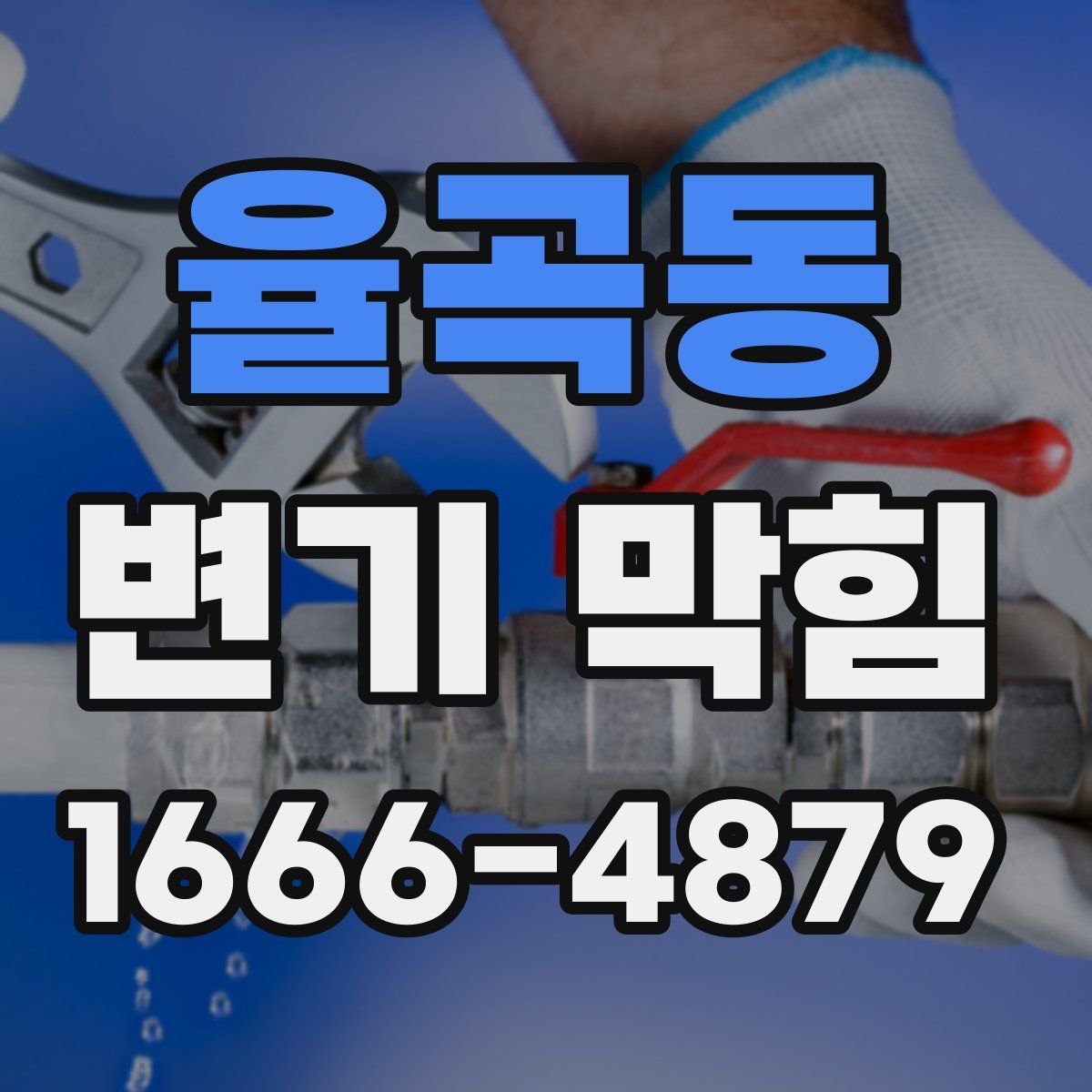 율곡동 변기 막힘