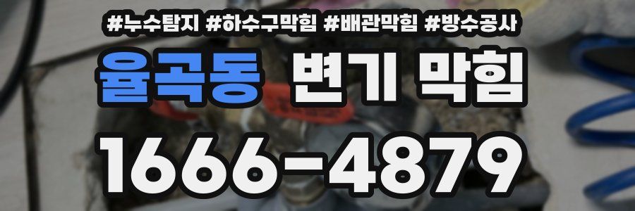 율곡동 변기 막힘
