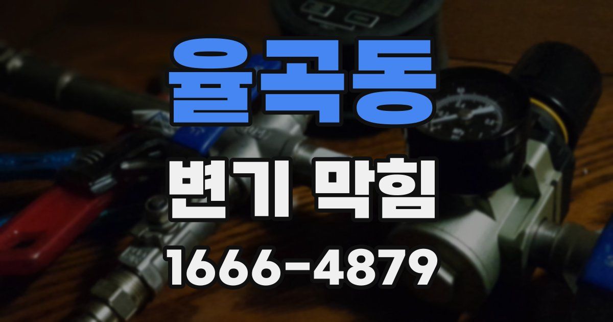 율곡동 변기 막힘