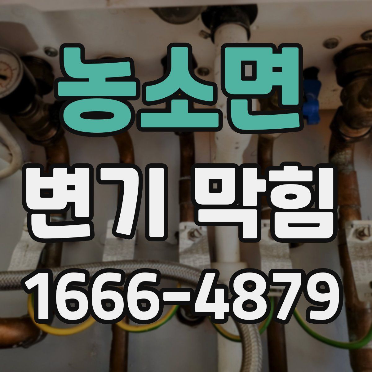 농소면 변기 막힘