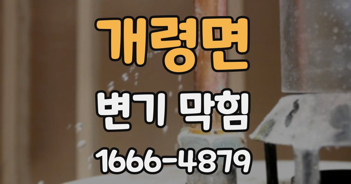 개령면 변기 막힘