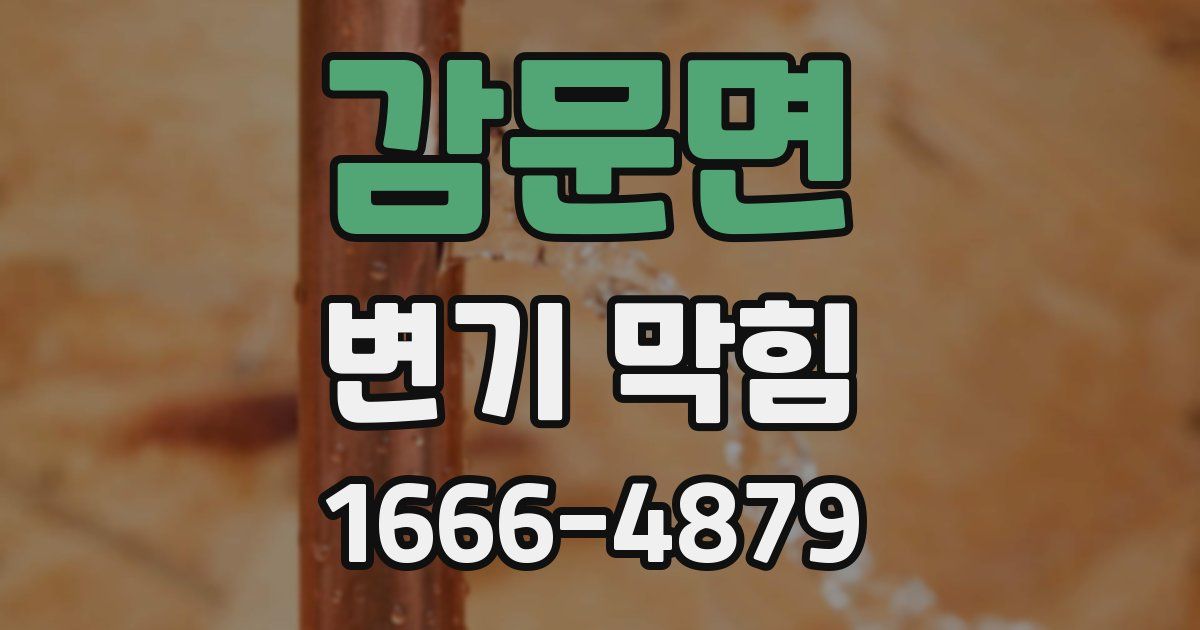 감문면 변기 막힘