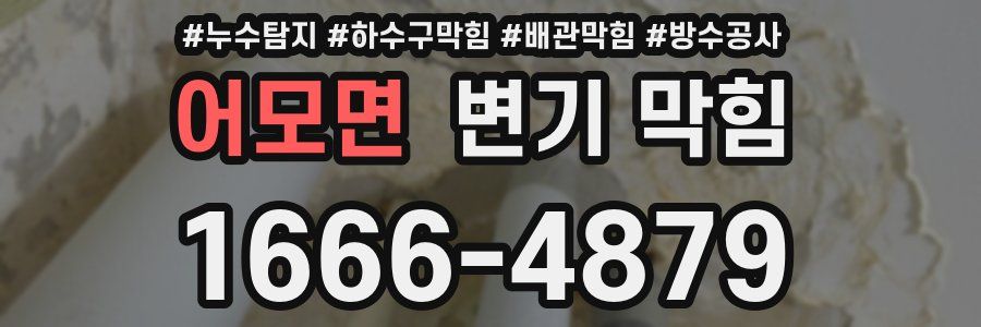 어모면 변기 막힘