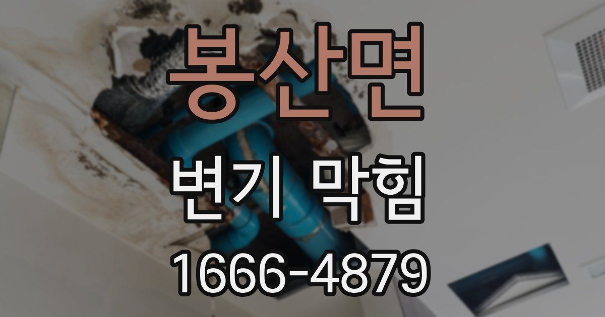 봉산면 변기 막힘