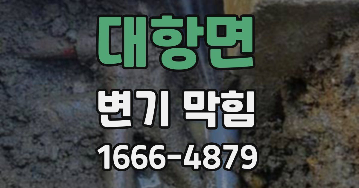 대항면 변기 막힘