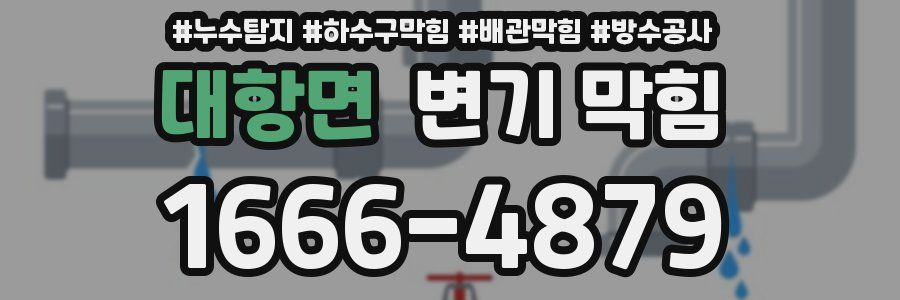 대항면 변기 막힘