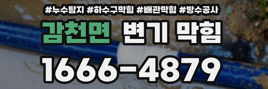 감천면 변기 막힘