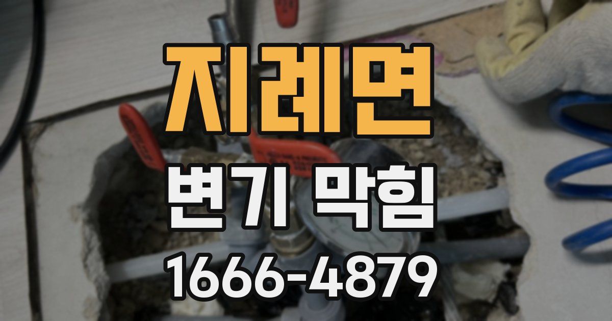 지례면 변기 막힘