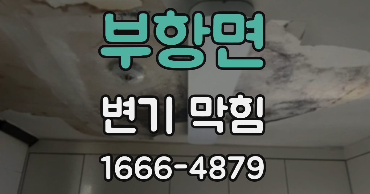 부항면 변기 막힘