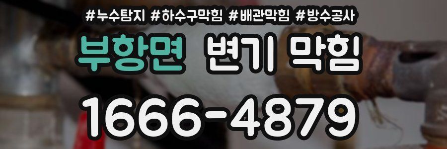 부항면 변기 막힘