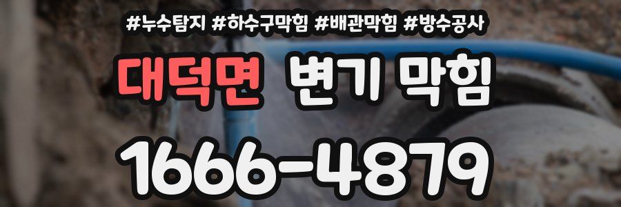 대덕면 변기 막힘