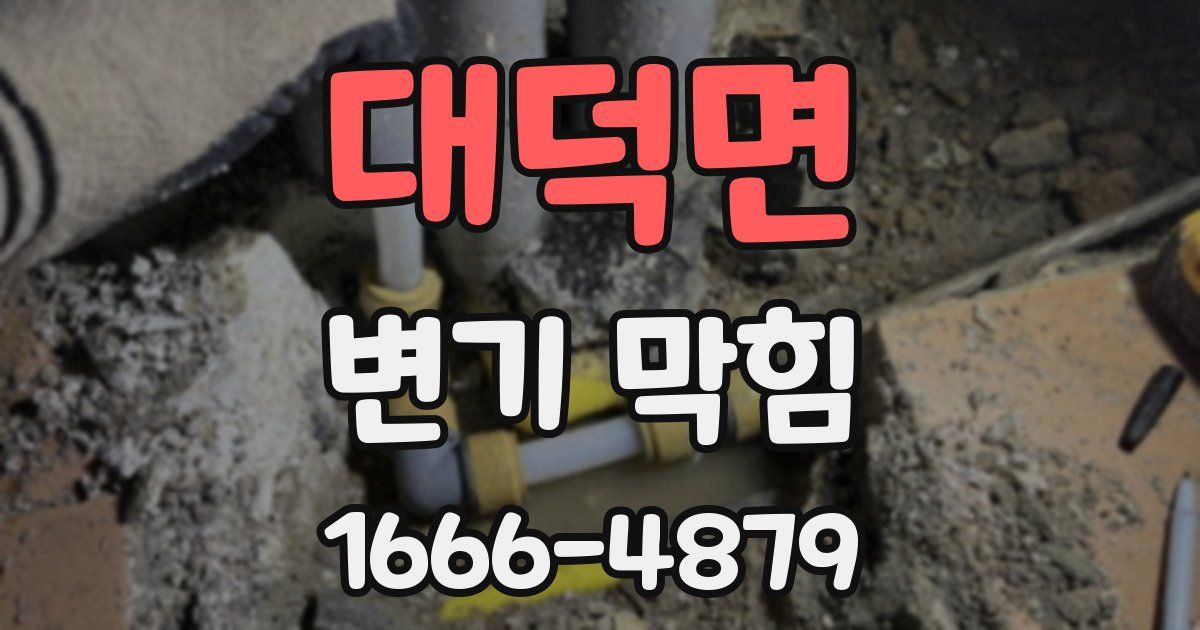 대덕면 변기 막힘