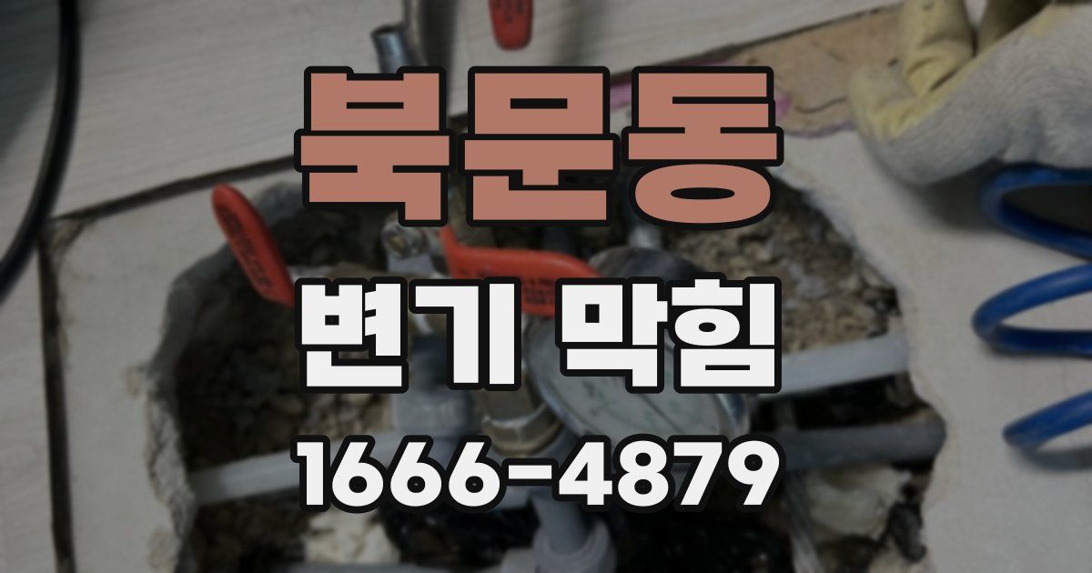 북문동 변기 막힘