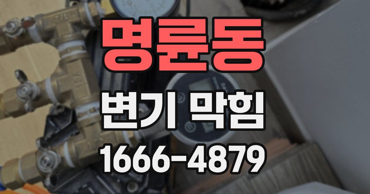 명륜동 변기 막힘