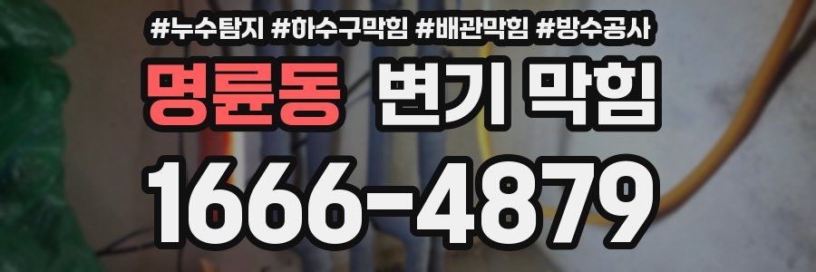 명륜동 변기 막힘