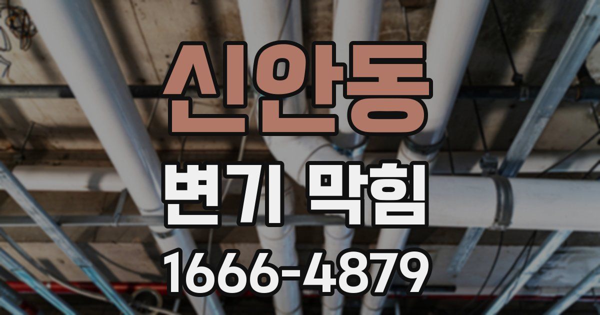 신안동 변기 막힘
