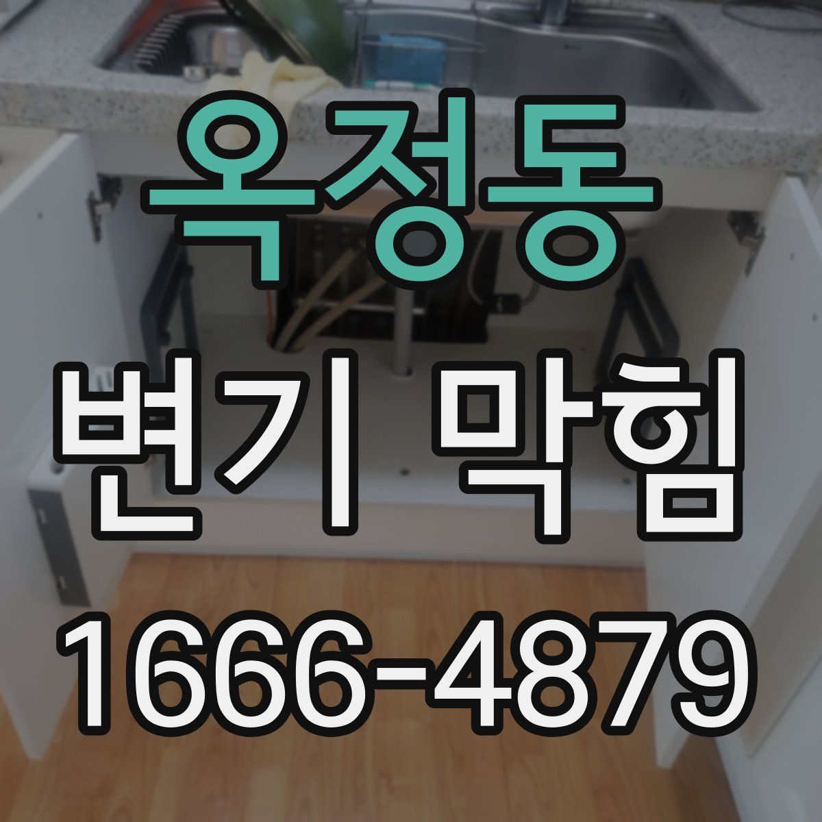 옥정동 변기 막힘