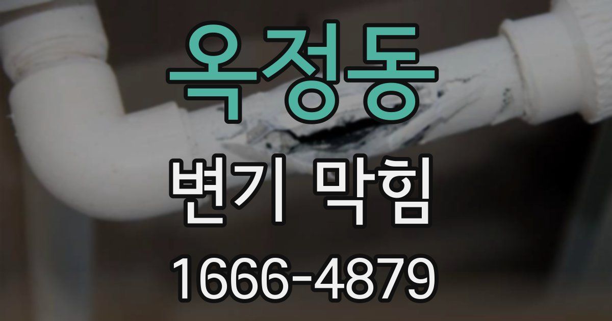 옥정동 변기 막힘