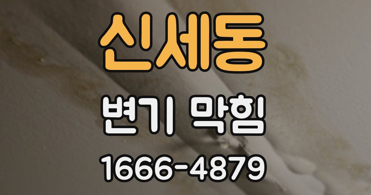 신세동 변기 막힘