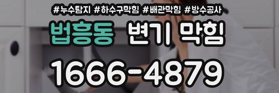 법흥동 변기 막힘