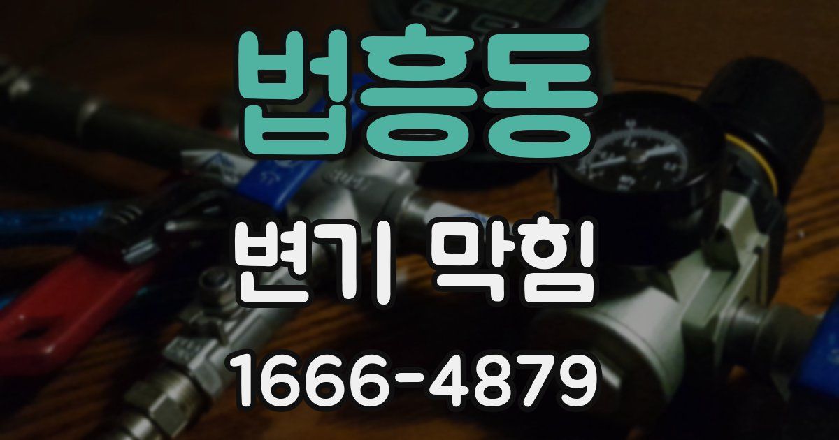 법흥동 변기 막힘