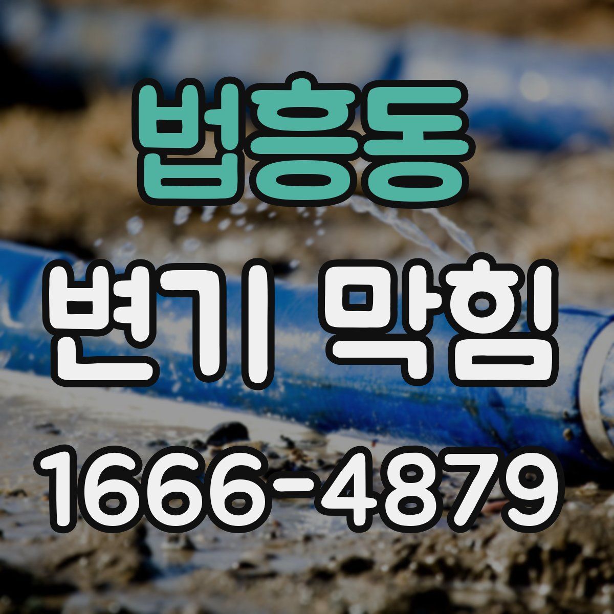 법흥동 변기 막힘