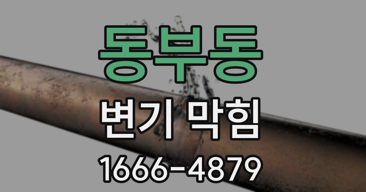 동부동 변기 막힘