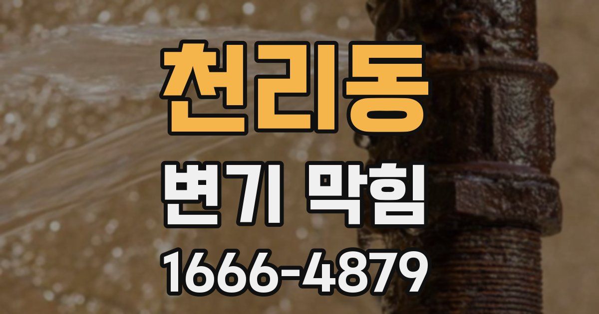 천리동 변기 막힘