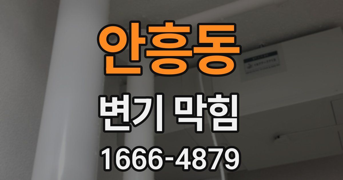 안흥동 변기 막힘