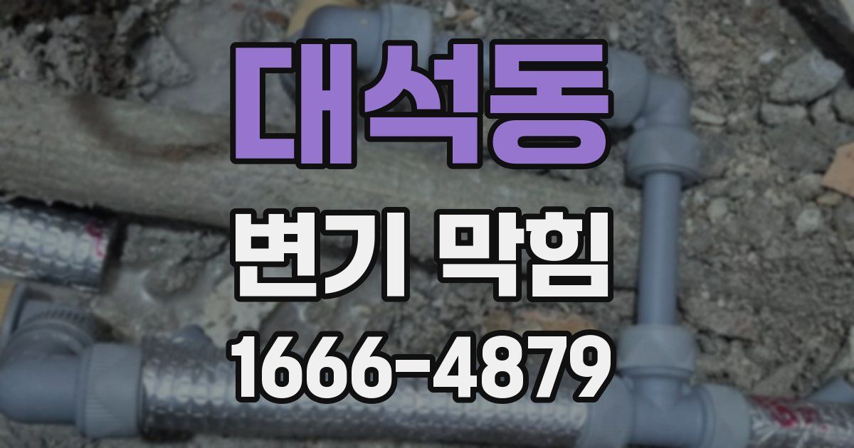 대석동 변기 막힘
