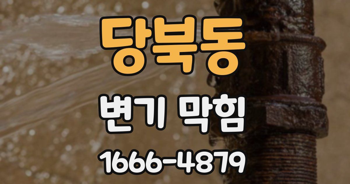 당북동 변기 막힘