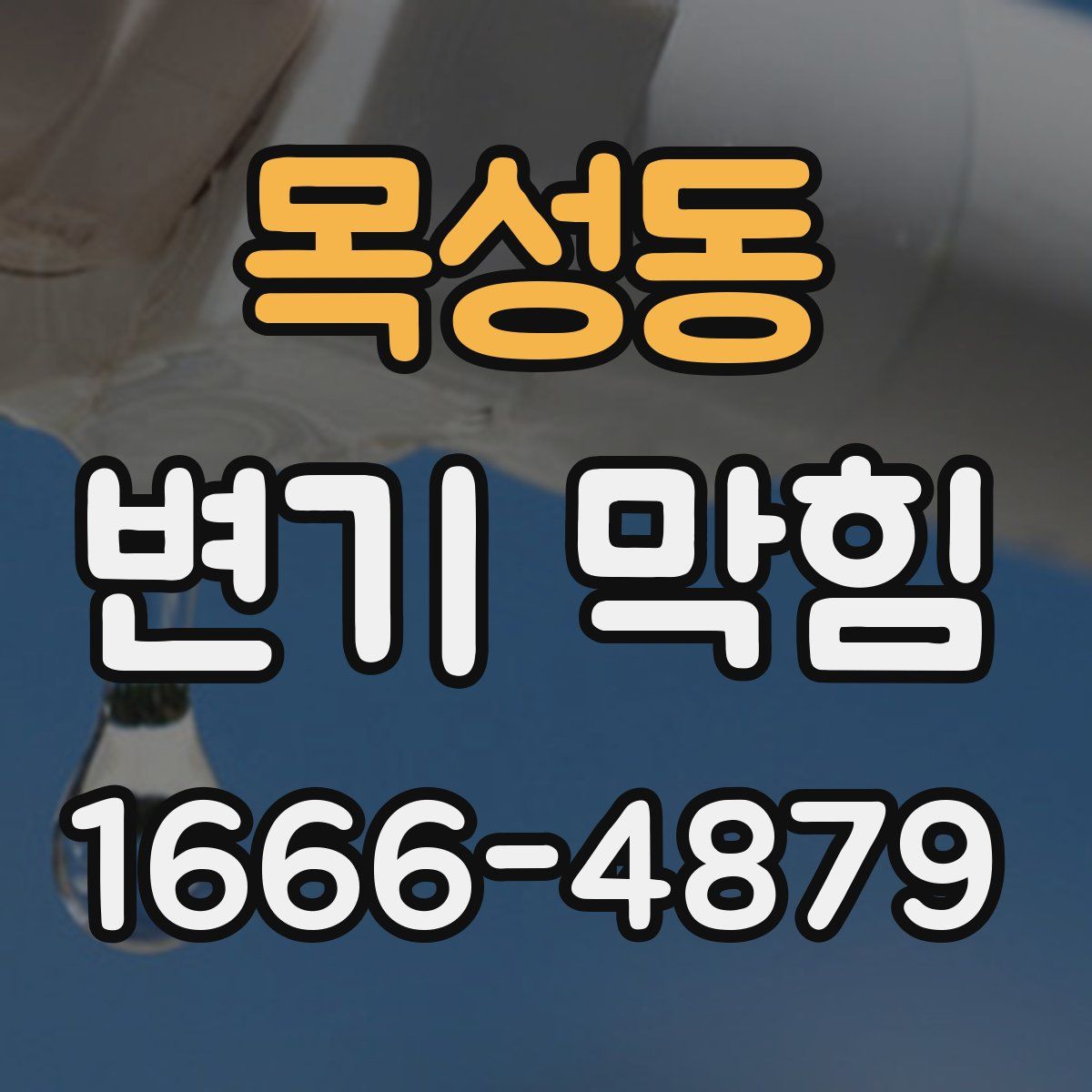 목성동 변기 막힘