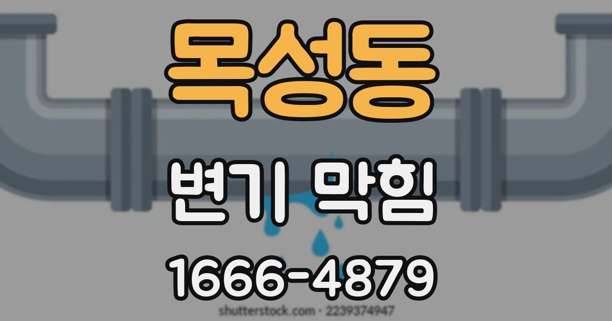 목성동 변기 막힘