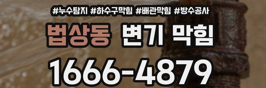 법상동 변기 막힘