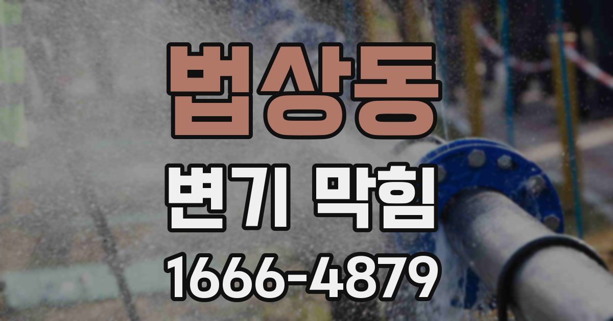 법상동 변기 막힘