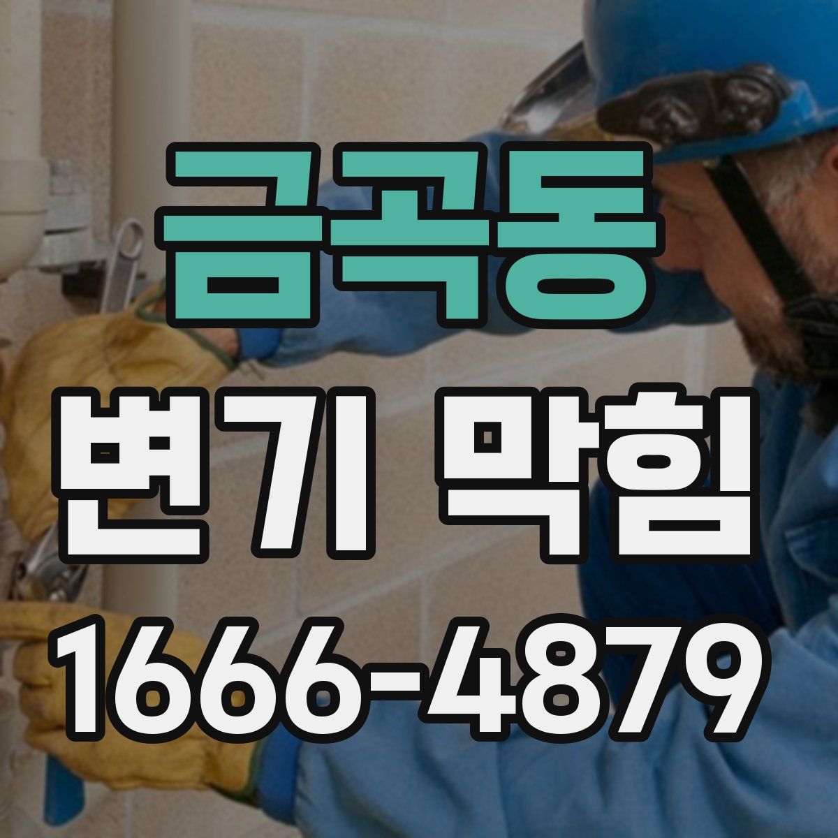 금곡동 변기 막힘