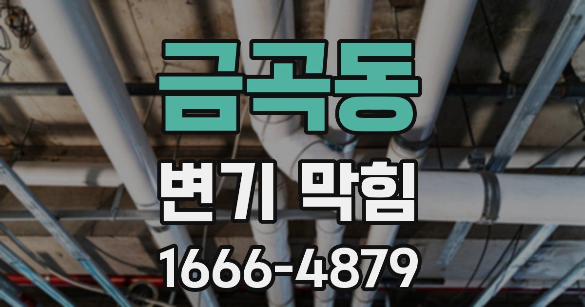 금곡동 변기 막힘