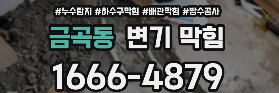 금곡동 변기 막힘
