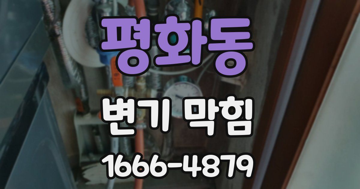 평화동 변기 막힘