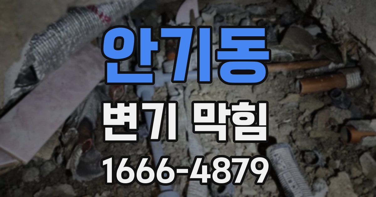 안기동 변기 막힘